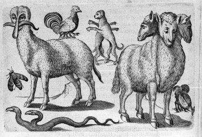 Diferentes tipos de animales monstruosos, con múltiples cuerpos o una cantidad anormal de extremidades. Grabado de “De monstrorum natura, causis et differentiis” de Fortunio Liceti (1577-1656), científico italiano. 1646 de Italian School