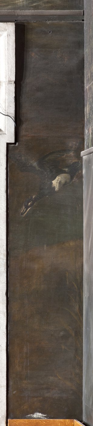 Pato, Mito de Orfeo de Italian School