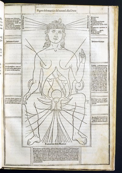 Anatomía femenina de Fasciculus Medicinae por Johannes de Ketham (d.c.1490) c.1507 de Italian School