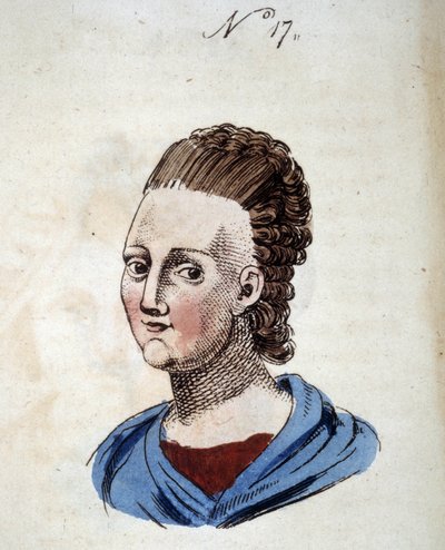 Figura número 17 que representa el rostro de una mujer en 