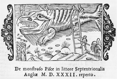 Monstruo marino, ilustración de Historia de Gentibus Septentrionalibus por Olaus Magnus, publicado en Roma, 1555 de Italian School