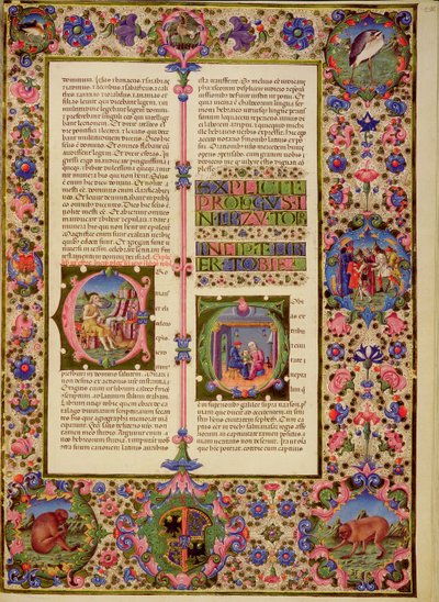 Fol.212r Libro de Toby, de la Biblia de Borso d
