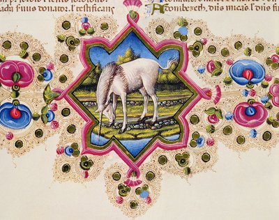 Fol.245V Un unicornio, de la Biblia de Borso d