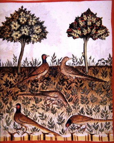 Fol.68v Faisanes, ilustración de 