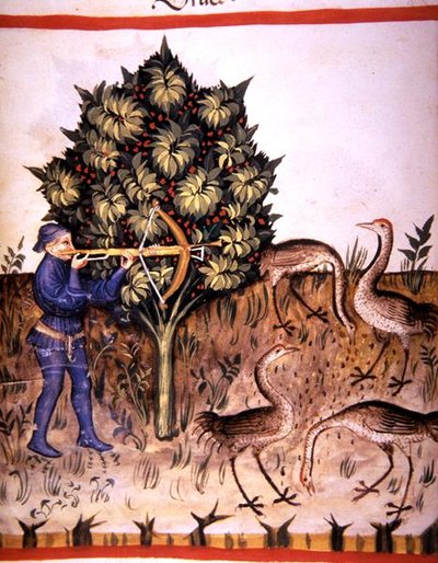 Fol.70v Cazando Grullas, ilustración de 