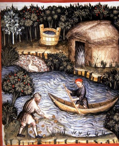 Fol.82r Pescado fresco, ilustración de 
