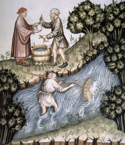 Fol.84r Pescando, ilustración del Tacuinum Santiatis Codex Vindobonensis de Italian School