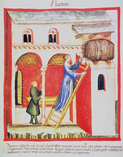 Fol.85v Vinagre, ilustración del Tacuinum Santiatis Codex Vindobonensis de Italian School