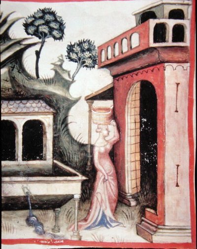 Fol.88v Agua de manantial, ilustración de 