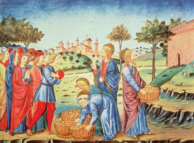 Fol.90v Cristo y el milagro de los cinco panes y los dos peces (vitela) de Italian School