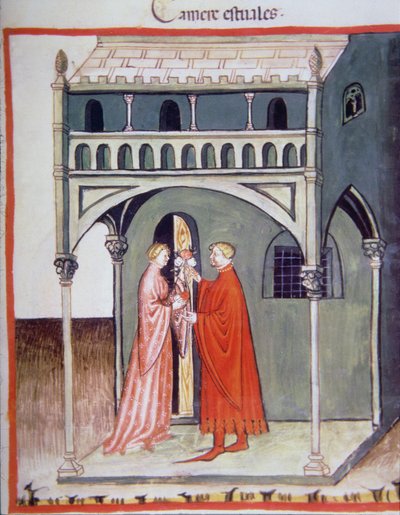 Fol.97r Habitación de verano, ilustración del Tacuinum Santiatis Codex Vindobonensis de Italian School