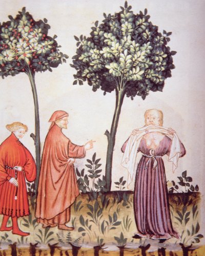 Cólera, ilustración de Tacuinum Sanitatis Codex Vindobonensis de Italian School