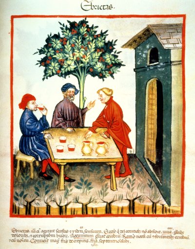 Embriaguez, ilustración de Tacuinum Sanitatis Codex Vindobonensis de Italian School
