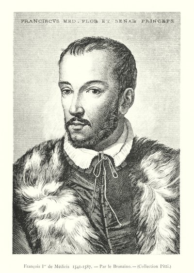 Francisco I de Medicis de Italian School