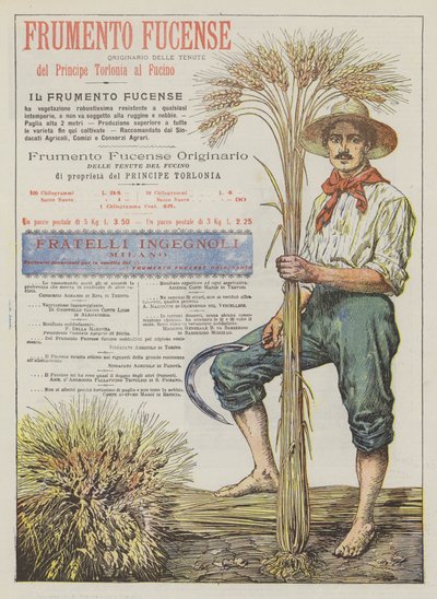 Frumento Fucense de Italian School