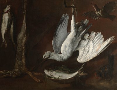 Liebre, Espátula y Pescado, mediados de 1600 de Italian School