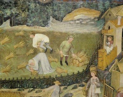 Cosechando gavillas de grano (fresco) de Italian School