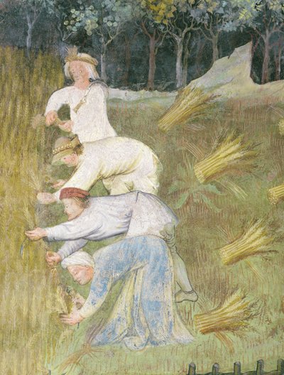 Cosecha de trigo, detalle (fresco) de Italian School