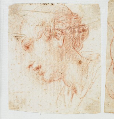 Cabeza de un joven de perfil de Italian School