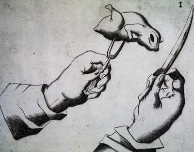 Cómo cortar un ave, ilustración de Li tre trattati di messer Mattia Giegher bavaro di Mosburc, Trinciante dell