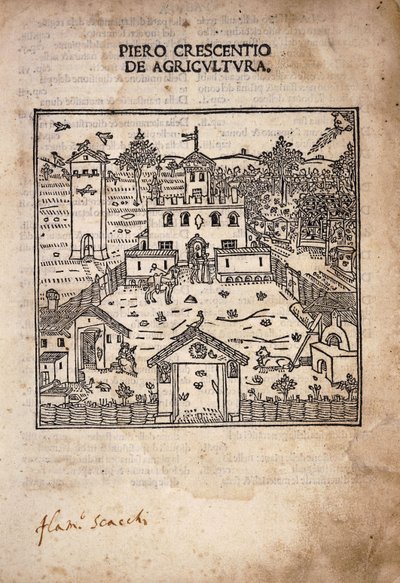 Portada ilustrada de "De Agricultura de Italian School