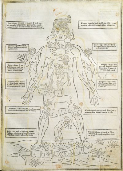 Ilustración de "Fasciculus medicinae" Venecia de Italian School