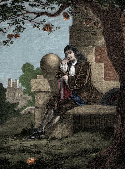 Isaac Newton observando una manzana caer al suelo mientras está sentado bajo un árbol de Italian School