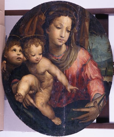 Madonna y el Niño con Juan el Bautista, 1546-55 de Italian School