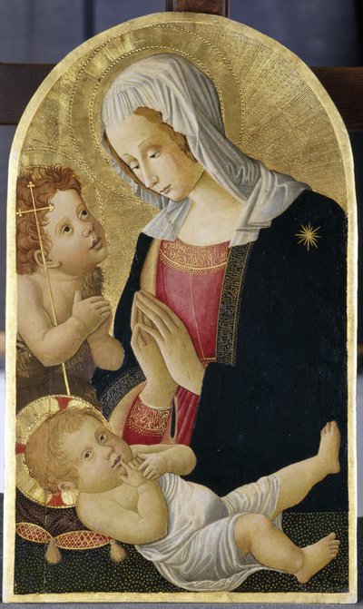 Virgen con el Niño y Juan Bautista, c.1460 (temple sobre madera de álamo) de Italian School