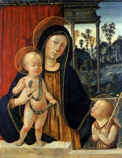 Madonna y el Niño con un joven Juan Bautista de Italian School
