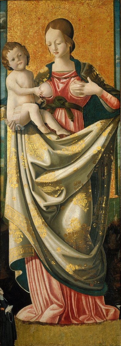 Madonna del Suffragio, c.1520 de Italian School