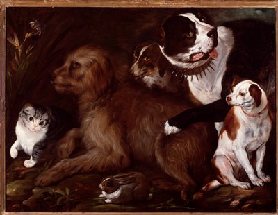 Los perros de los Medici, con un gato y un conejo de la escuela italiana de Italian School