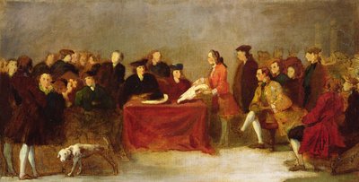 Reunión de la Academia o Examen de Historia Natural en Venecia de Italian School