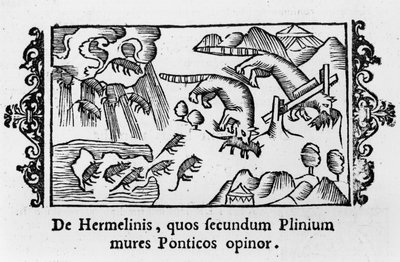 Migración de lemmings, de 