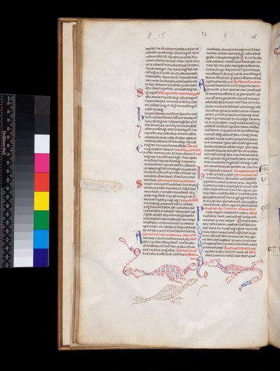 Pedro Lombardo, Sententiae, decoración de pen-work en la parte inferior de la página desarrollada en híbridos de pájaro/dragón de Italian School