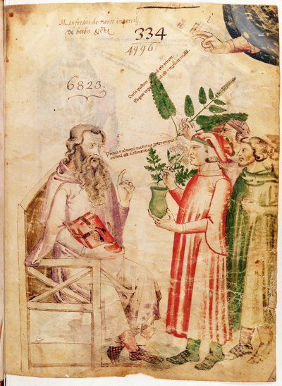 Ms Lat 6823 fol.1 Hombres presentando plantas a un hombre desconocido, de De Herbis por Manfredus de Monte Imperiali de Italian School