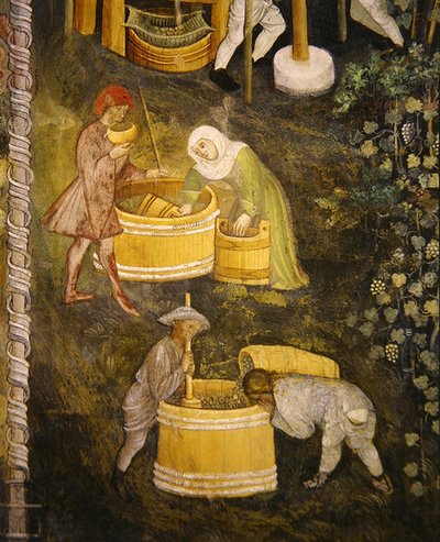 Vino nuevo (fresco) de Italian School