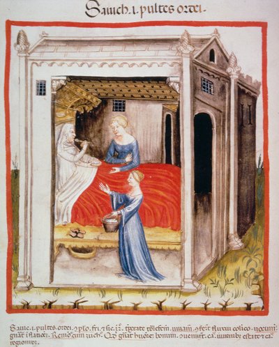 Nova 2644 fol.44v Probando sopa de cebada, del Tacuinum Sanitatis de Italian School