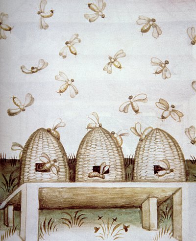 Colmenas, de Tacuinum Sanitatis de Italian School