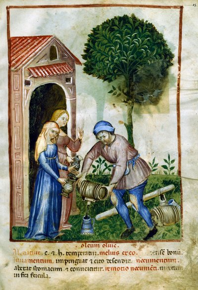 Aceite de oliva, miniatura de Tacuinum Sanitatis, edición en latín de Italian School