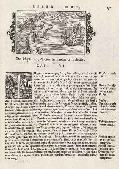 Página 735 de Historia De Gentivus Septentrionalibus por Magnus Olaus, Roma 1565 de Italian School