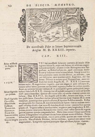 Página 742 de Historia De Gentivus Septentrionalibus por Magnus Olaus, Roma 1565 de Italian School