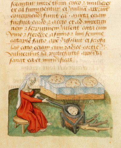 Página del Tractatus de Herbis de Dioscorides Pedanius de Italian School