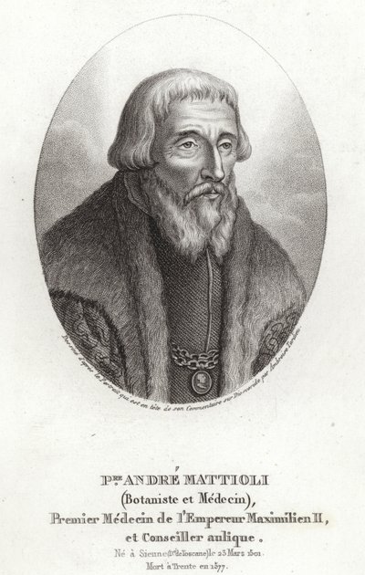 Pietro Andrea Mattioli de Italian School