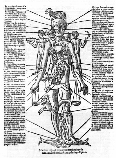 Placa que representa un cuerpo humano con la posición de todos los órganos y los signos zodiacales correspondientes a ellos por sus influencias astrológicas. Placa extraída de "Recetoro di Galeno optio e probato a tutte le infirmita che accadeno a huomini  de Italian School