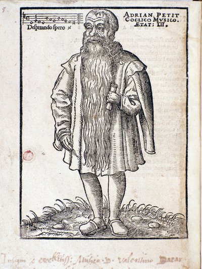 Retrato de Adrianus Petit Coclico (1500-1562) compositor neerlandés del Renacimiento de Italian School