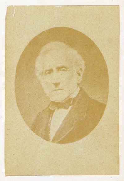 Retrato de Alessandro Manzoni (1785-1873) de Italian School