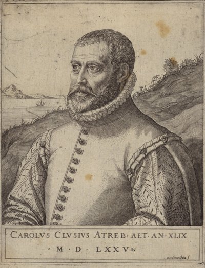 Retrato de Carolus Clusius de Italian School