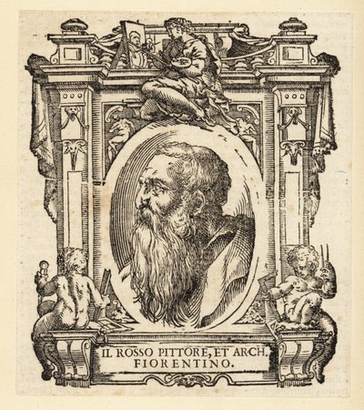 Retrato de Giovanni Battista di Jacopo, conocido como Rosso Fiorentino o Il Rosso, arquitecto italiano y pintor manierista en óleo y fresco de la escuela florentina de Italian School