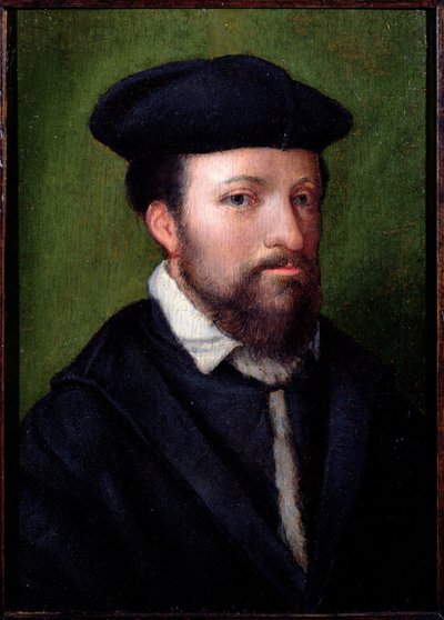Retrato de un caballero, norte de Italia, mediados del siglo XVI de Italian School